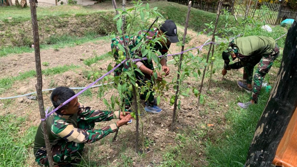 Dukung Ketahanan Pangan Nasional, Satgas Yonif 521/DY Manfaatkan Lahan Kosong di Sekitar Pos